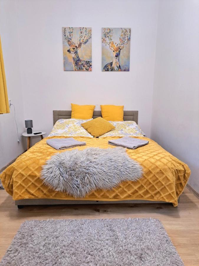 Belvarosi Lux Apartman Vásárosnamény Zewnętrze zdjęcie